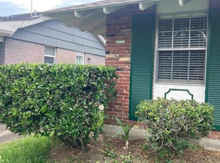 Bush Trimming by Jordan Verhoeven for Kye R. in Metairie, LA