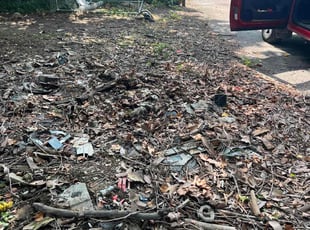 Cleanups by Dashaun Fykes for Brenden J. in Indianapolis, IN