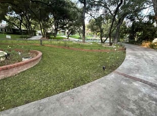 Tina W.'s Lawn Mowing service result