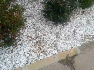 Lisse J.'s Flower Bed Weeding service result