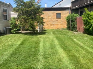 Jennifer M.'s Lawn Mowing Service service result