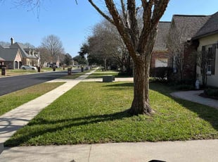 Jill R.'s Lawn Service service result