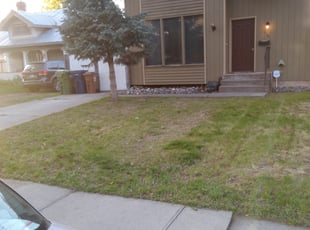 Leaf Removal by William Dixon for Lesli Y. in Spokane, WA