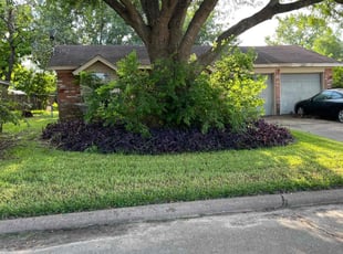Denis D.'s Lawn Service service result