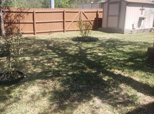 Leaf Removal by Marcus Resendes for Catherine R. in San Antonio, TX