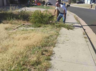 Bush Trimming by Joseph Banes for Sherry L. in Colorado Springs, CO