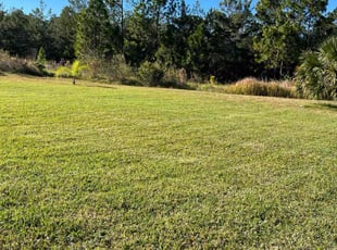 Danielle W.'s Lawn Mowing Service service result