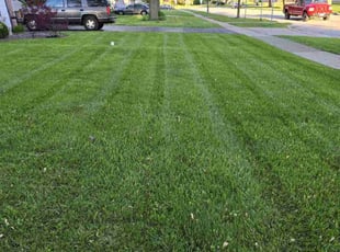 Jerome T.'s Lawn Mowing service result