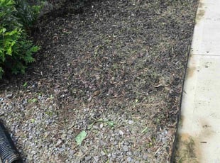 Weeding by Mayra Seliceo for James F. in Durham, NC