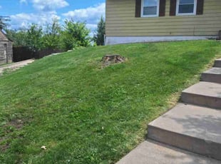 Don K.'s Lawn Maintenance service result