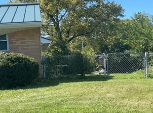 Bush Trimming by Aaron Spradlin for Nikki W. in Dayton, OH
