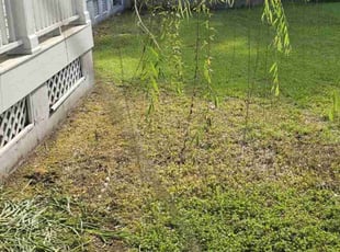 Cleanups by Joseph Durgin for Erica B. in Hanahan, SC