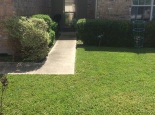 Bush Trimming by Chaes Pate for Brittany K. in San Antonio, TX