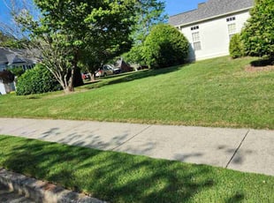 Betty K.'s Lawn Service service result