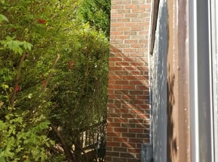 Bush Trimming by Miguel Santos for Glenn M. in Germantown, MD