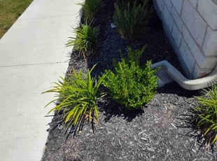 Weeding by Douglas Lauf for Matthew C. in Krum, TX
