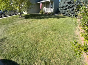 Andie S.'s Lawn Service service result