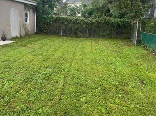 Heather H.'s Lawn Mowing service result