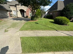 Nicole B.'s Lawn Care service result