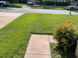 Holly A.'s Lawn Service service result