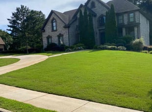 Demetrius D.'s Lawn Maintenance service result
