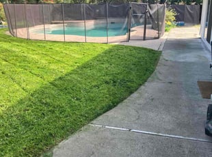 Nicolencia J.'s Lawn Mowing service result