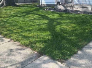 Deshena W.'s Lawn Maintenance service result