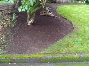 Weeding by Coben Varland for Becky G. in Lynnwood, WA