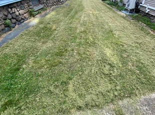 Thomas B.'s Lawn Service service result