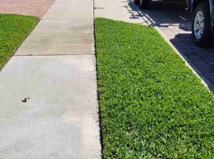 Martin F.'s Lawn Mowing service result