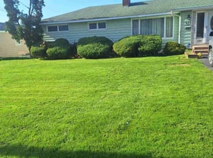 Vadaesha S.'s Yard Cutting service result