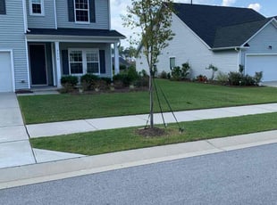 Cheri M.'s Yard Cutting service result
