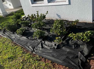 Cleanups by James Ramey for Sandeep S. in Kissimmee, FL