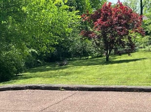 James G.'s Grass Cutting service result
