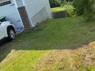 Weeding by Amanda Carter for Shelby C. in Garner, NC