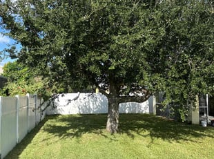 Chelsea M.'s Lawn Care service result
