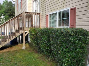 Bush Trimming by Emmanuel Essel for Bo D. in Atlanta, GA