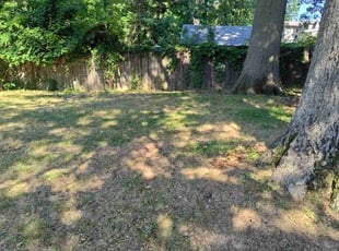 Cleanups by Ramiro Vicente for Joy L. in Overland, MO