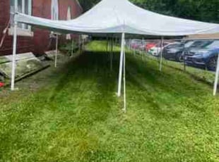 Marisol F.'s Lawn Service service result