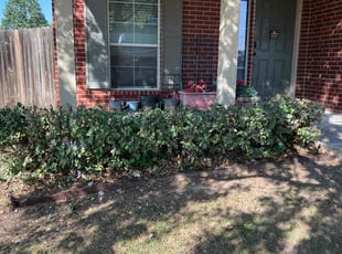 Bush Trimming by Matt Krause for Kari M. in New Braunfels, TX