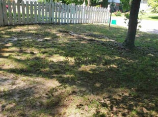 Leaf Removal by Michael Campbell for Jahneakia B. in Richmond, VA