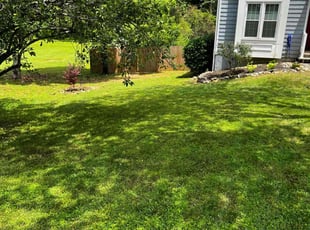 Weeding by Michael Carter for Denise Z. in Snellville, GA