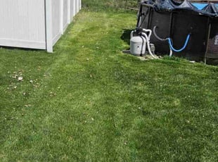 John B.'s Lawn Mowing Service service result