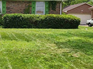 Bush Trimming by Brandon Haney for Tonya W. in Chesapeake, VA