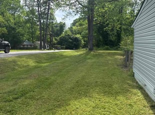 Sonal R.'s Lawn Service service result