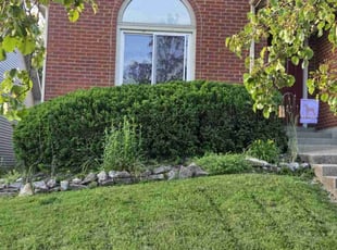Bush Trimming by Andrew Cooperrider for Peyton W. in Lexington, KY