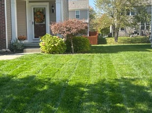 Katie G.'s Lawn Service service result