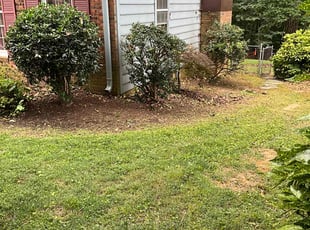 Bush Trimming by Beau Pais for Megan D. in Greensboro, NC