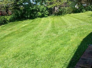 Ronald C.'s Yard Cutting service result