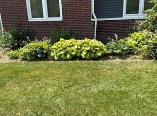 Weeding by Luis Contreras for Betsy R. in Fishers, IN